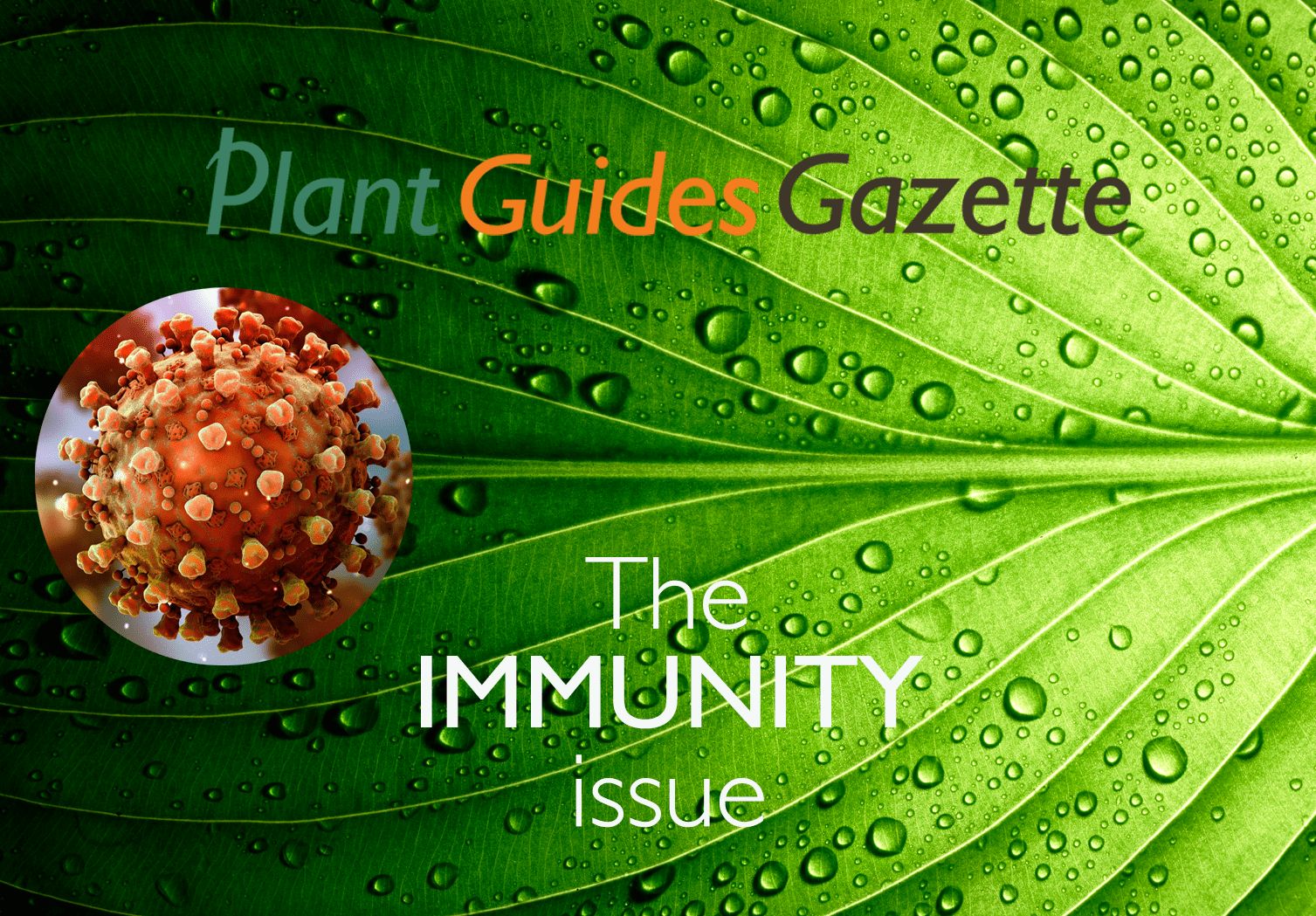 Gazette immunity cover