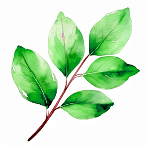 Branches: the add-ons